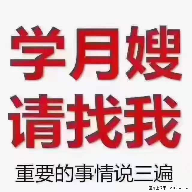 为什么要学习月嫂，育婴师？ - 其他广告 - 广告专区 - 延安分类信息 - 延安28生活网 yanan.28life.com