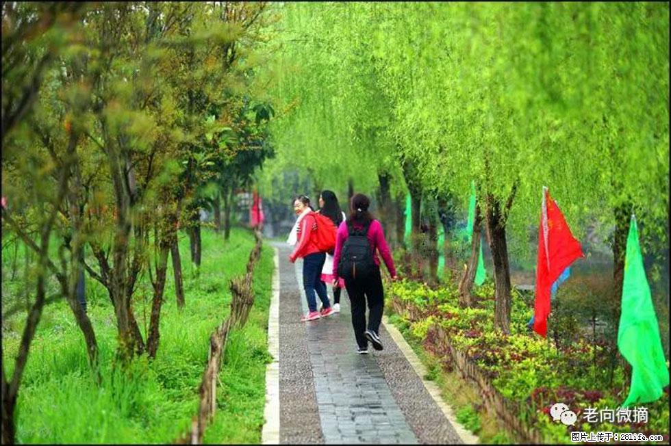 【春天,广西桂林灌阳县向您发出邀请!】江口老街又逢春 - 游山玩水 - 延安生活社区 - 延安28生活网 yanan.28life.com
