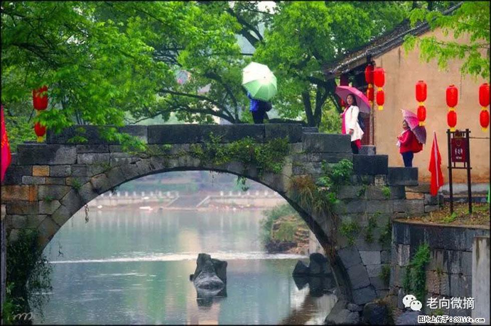 【春天,广西桂林灌阳县向您发出邀请!】江口老街又逢春 - 游山玩水 - 延安生活社区 - 延安28生活网 yanan.28life.com