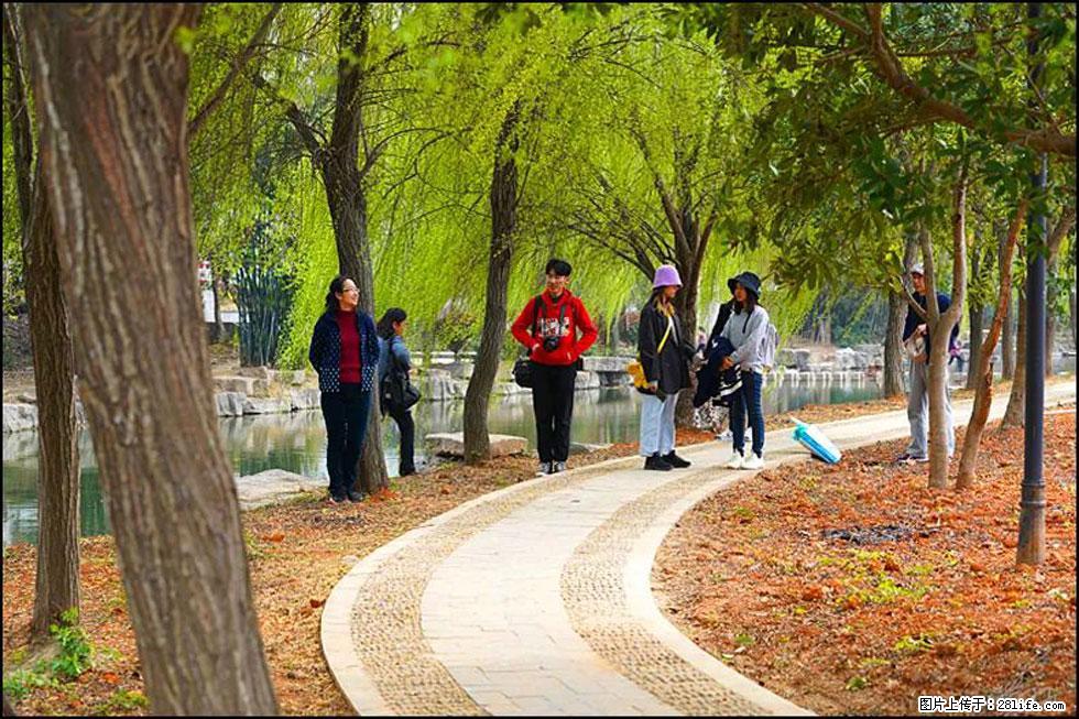 【春天,广西桂林灌阳县向您发出邀请!】江口老街又逢春 - 游山玩水 - 延安生活社区 - 延安28生活网 yanan.28life.com