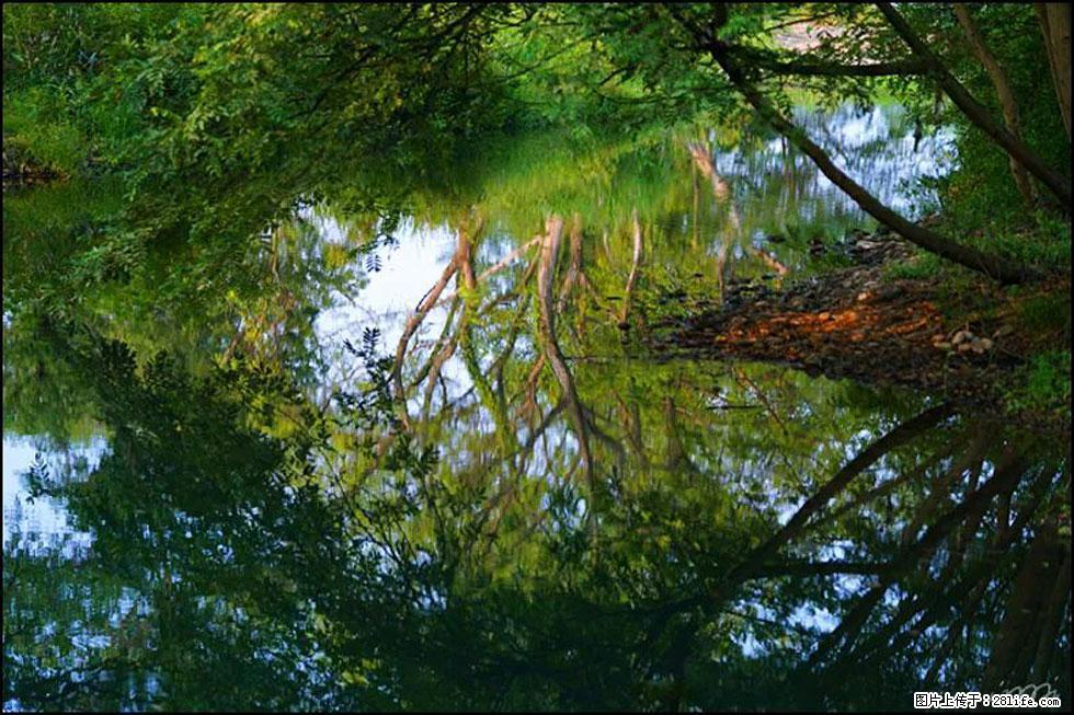【春天,广西桂林灌阳县向您发出邀请!】熊家寨湿地公园 - 游山玩水 - 延安生活社区 - 延安28生活网 yanan.28life.com