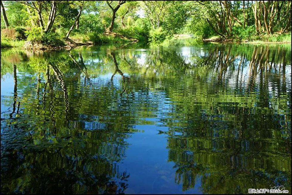 【春天,广西桂林灌阳县向您发出邀请!】熊家寨湿地公园 - 游山玩水 - 延安生活社区 - 延安28生活网 yanan.28life.com