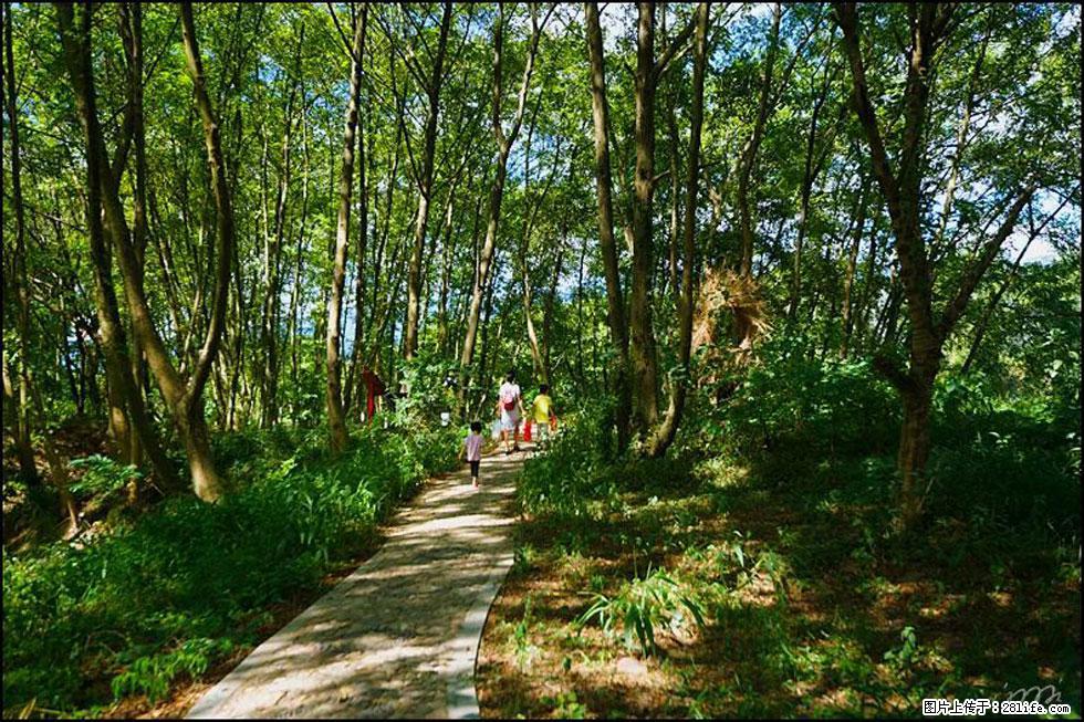 【春天,广西桂林灌阳县向您发出邀请!】熊家寨湿地公园 - 游山玩水 - 延安生活社区 - 延安28生活网 yanan.28life.com