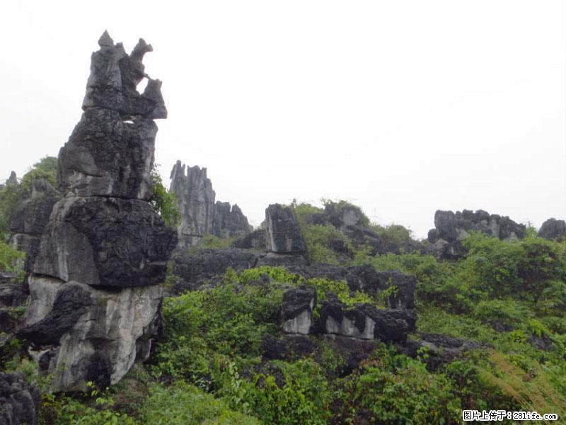 桂林旅游名城景点:灌阳文市石林 - 游山玩水 - 延安生活社区 - 延安28生活网 yanan.28life.com