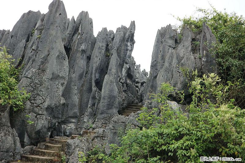 桂林旅游名城景点:灌阳文市石林 - 游山玩水 - 延安生活社区 - 延安28生活网 yanan.28life.com
