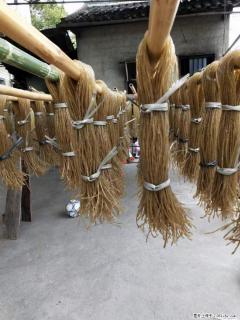 【灌阳正宗红薯粉】美女家里自己做的,干净卫生,假一赔十,价格合理,抢购电话:13737312895 - 延安28生活网 yanan.28life.com