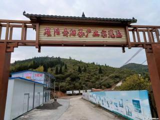 【灌阳县油茶产业示范区】一个有着充实的精神生活的人,对待身外之物自会有一种淡泊的态度 - 延安28生活网 yanan.28life.com