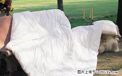 被子有异味?只要这样做,比晒太阳还强100倍! - 家居生活 - 延安生活社区 - 延安28生活网 yanan.28life.com