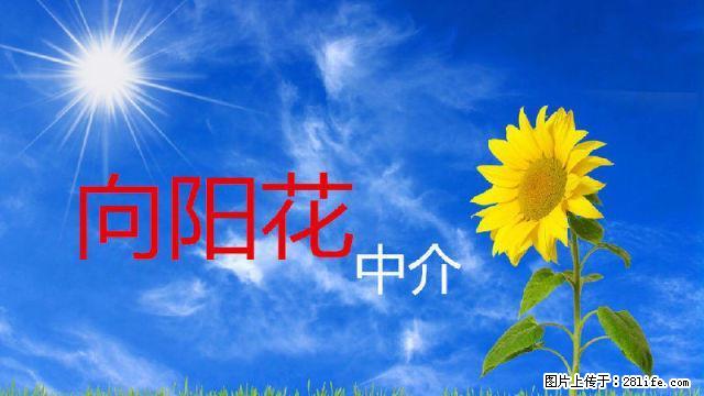 圣都花园三室俩厅俩卫拎包出租 - 房屋出租 - 房屋租售 - 延安分类信息 - 延安28生活网 yanan.28life.com