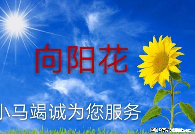 延大附院 俩室出租 交通便利 - 房屋出租 - 房屋租售 - 延安分类信息 - 延安28生活网 yanan.28life.com