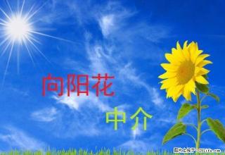 百米大道世纪华宝三室出租 厨卫齐全 年付 - 延安28生活网 yanan.28life.com