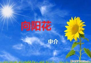 长青俩室出租 精装修 年付 - 延安28生活网 yanan.28life.com