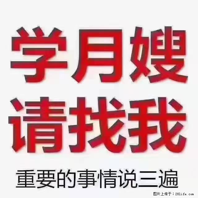 【招聘】月嫂,上海徐汇区 - 职场交流 - 延安生活社区 - 延安28生活网 yanan.28life.com