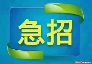 招出纳8000元/月，无证可以，要有相关经验，上海五险一金，包住，包工作餐，做六休一。 - 延安28生活网 yanan.28life.com