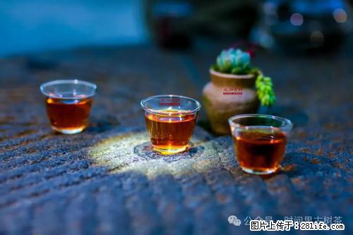 时间果百年古树2025年春红茶 - 购物交流 - 延安生活社区 - 延安28生活网 yanan.28life.com