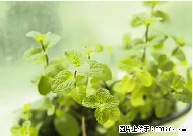 晕车、脚气、牙齿变黄、皮肤粗糙?学会这些三分钟搞定! - 延安生活资讯 - 延安28生活网 yanan.28life.com