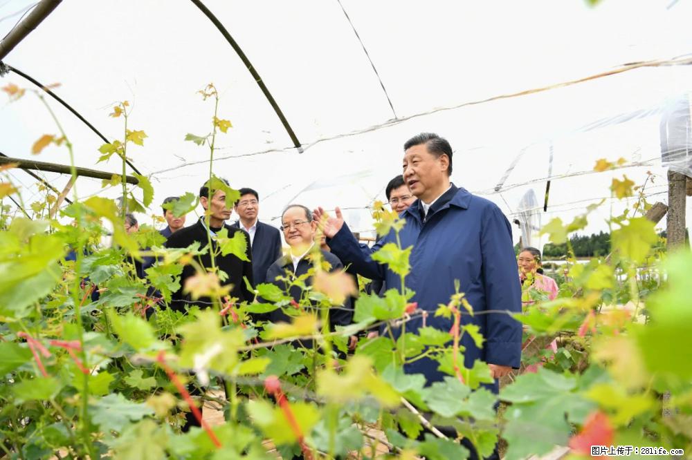 习近平赴广西考察调研 - 延安生活资讯 - 延安28生活网 yanan.28life.com