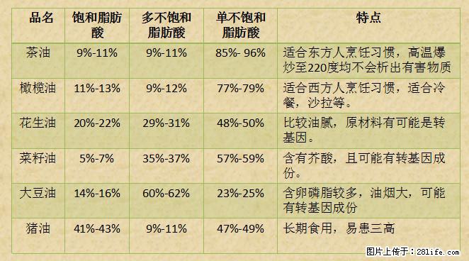 揭秘茶油的5大核心营养成分!被称为人体健康的“守护盾”! - 延安生活资讯 - 延安28生活网 yanan.28life.com