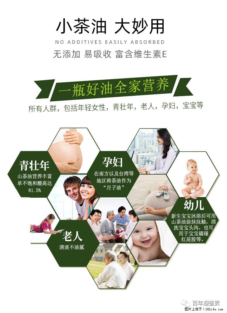 世界没有真相,只有认知,最好的食用油是中国的山茶油! - 延安生活资讯 - 延安28生活网 yanan.28life.com
