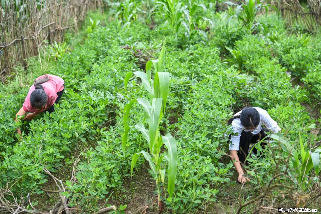 全网追的“扁担女孩”，找了一份暑假工，时薪12元 - 延安生活资讯 - 延安28生活网 yanan.28life.com